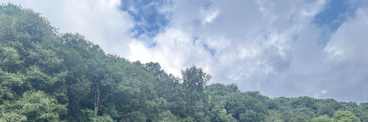 NChocokat's profile banner image