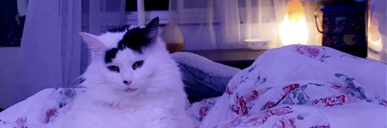 MamawRain's profile banner image