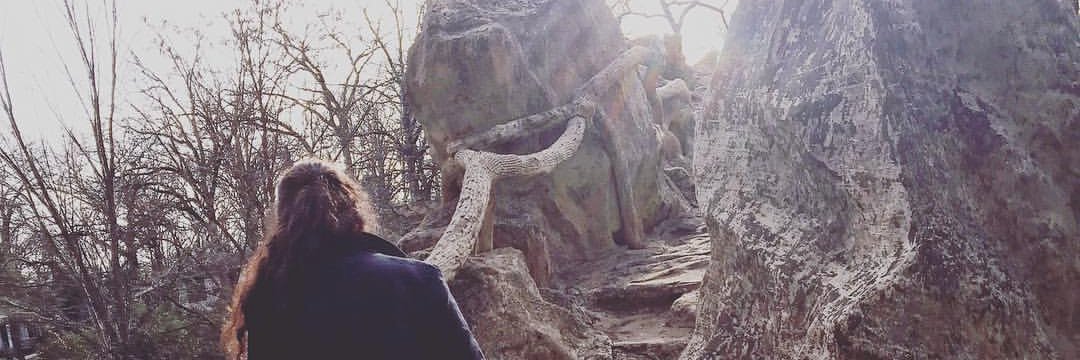 Allison Light banner