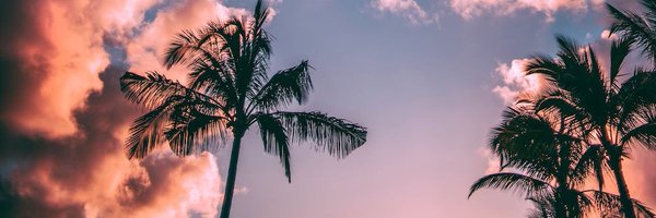 theloganrush Profile Banner