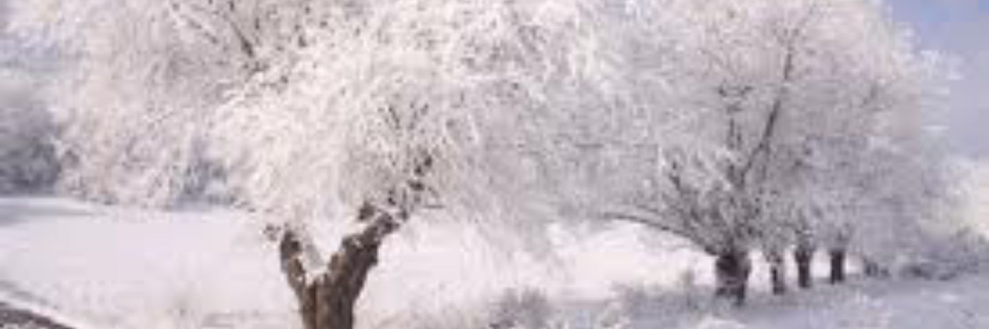 bengrman's profile banner image
