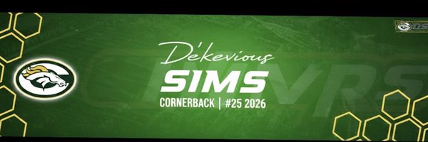 DSims17_ Profile Banner