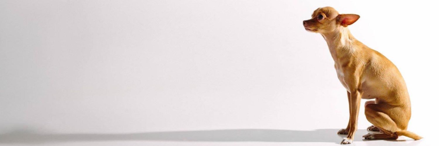 JushaniRg's profile banner image