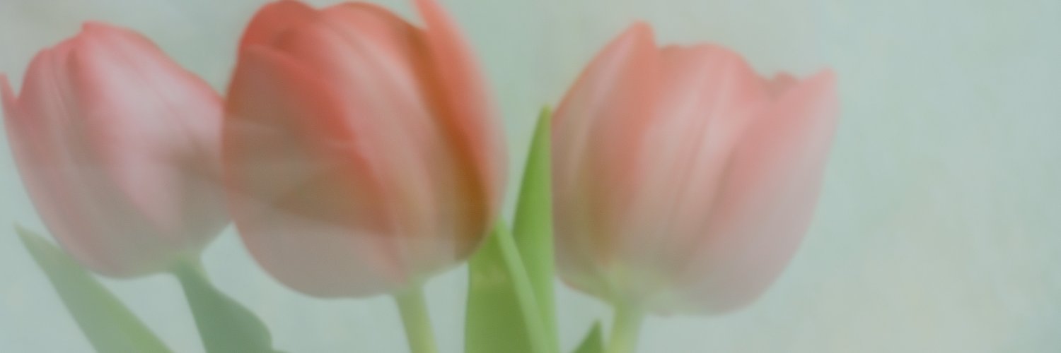 runrunya4's profile banner image