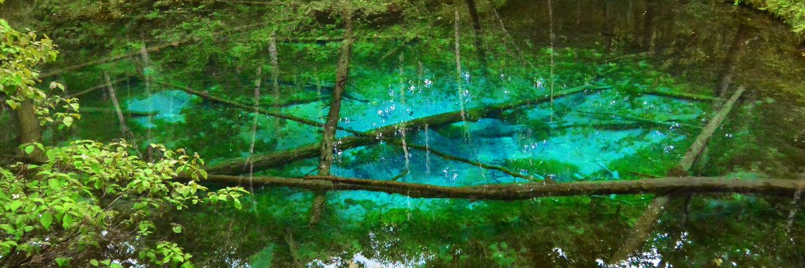 温泉やまちゃん banner