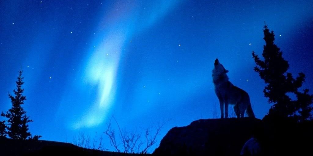 TylerGiza's profile banner image