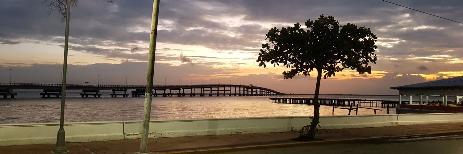marthasanchezv's profile banner image