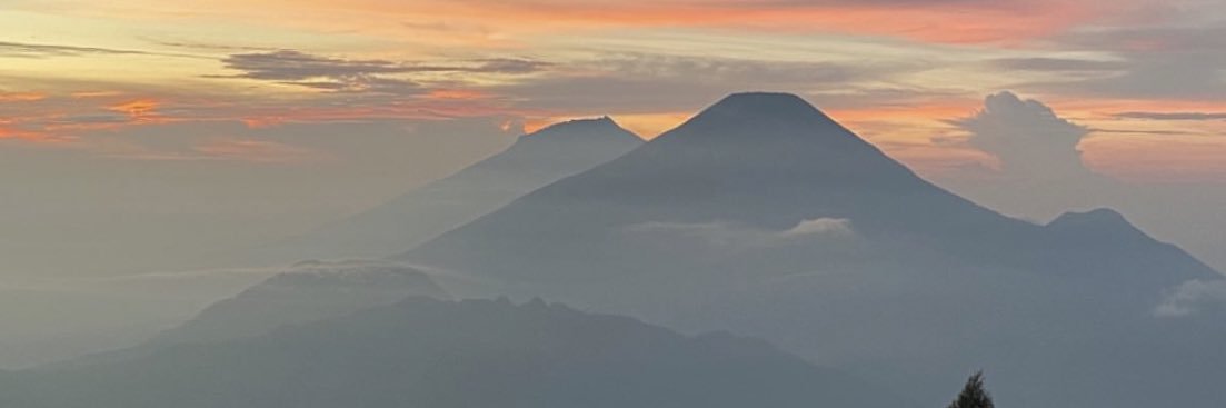 lilistwt's profile banner image