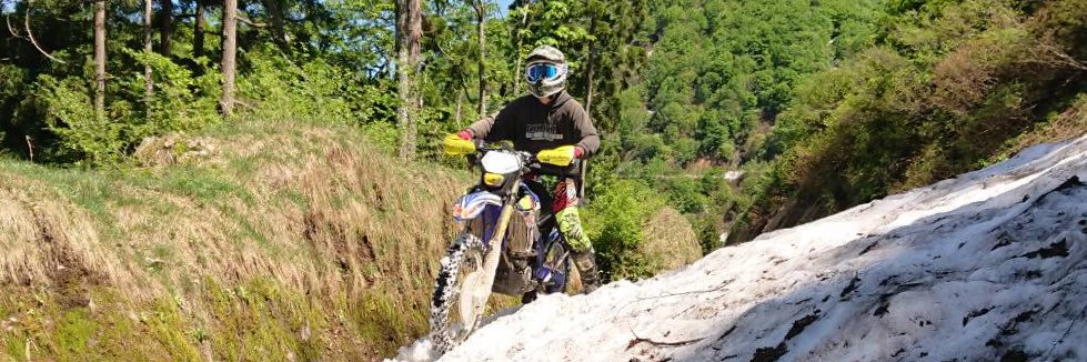 かまきり先生 banner