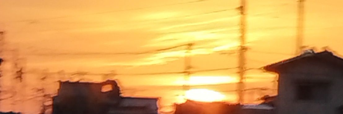 DengTing20's profile banner image
