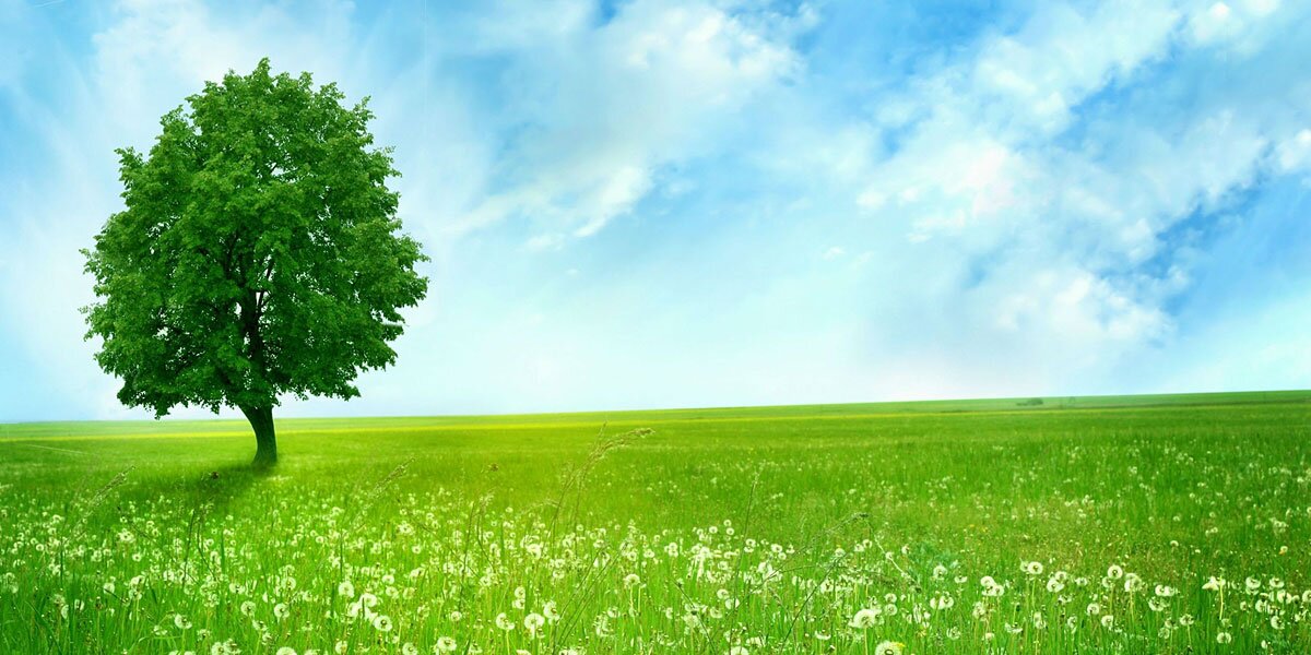 Narelle_H's profile banner image