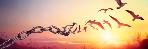 Patricia Lima banner