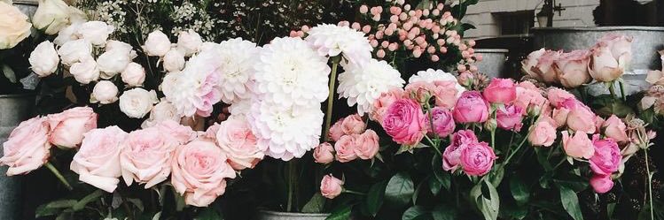 Haleeexoxo's profile banner image