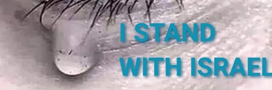 Frozen's banner