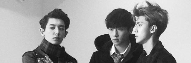 novitashryeoo's profile banner image