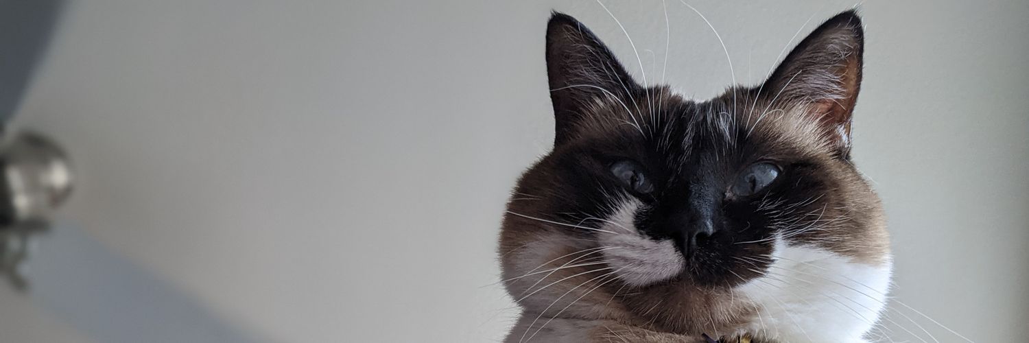 s_yler's profile banner image
