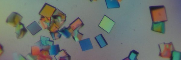 Lab_Fribourg Profile Banner