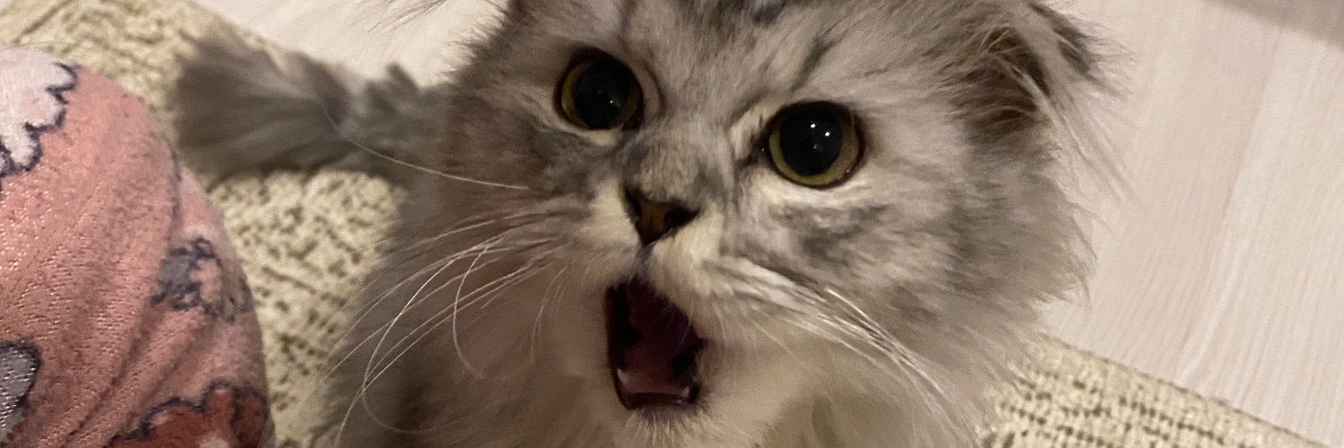 ireemsezer_'s profile banner image