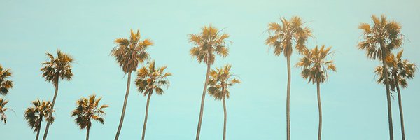 StJames90026 Profile Banner