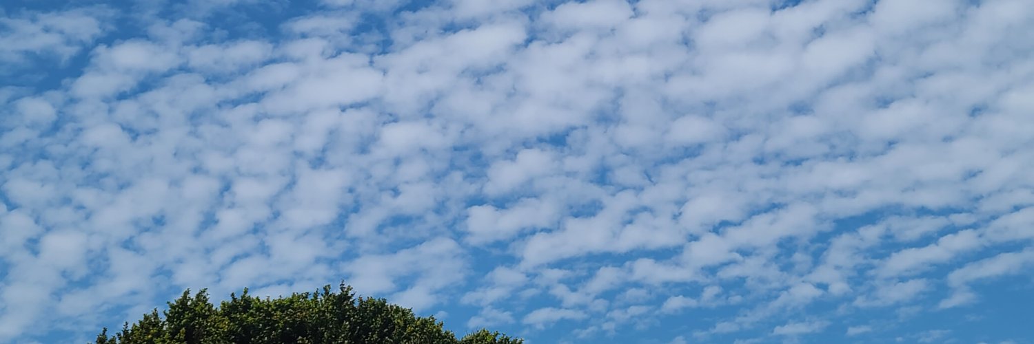 Chees999's profile banner image
