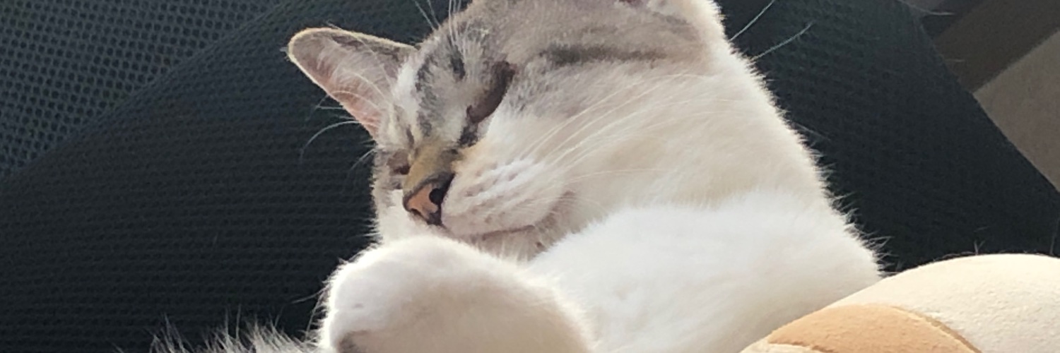 FuuSaito's profile banner image