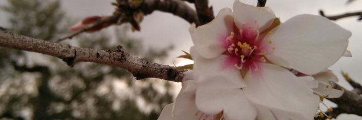 AnnaSubirats1's profile banner image
