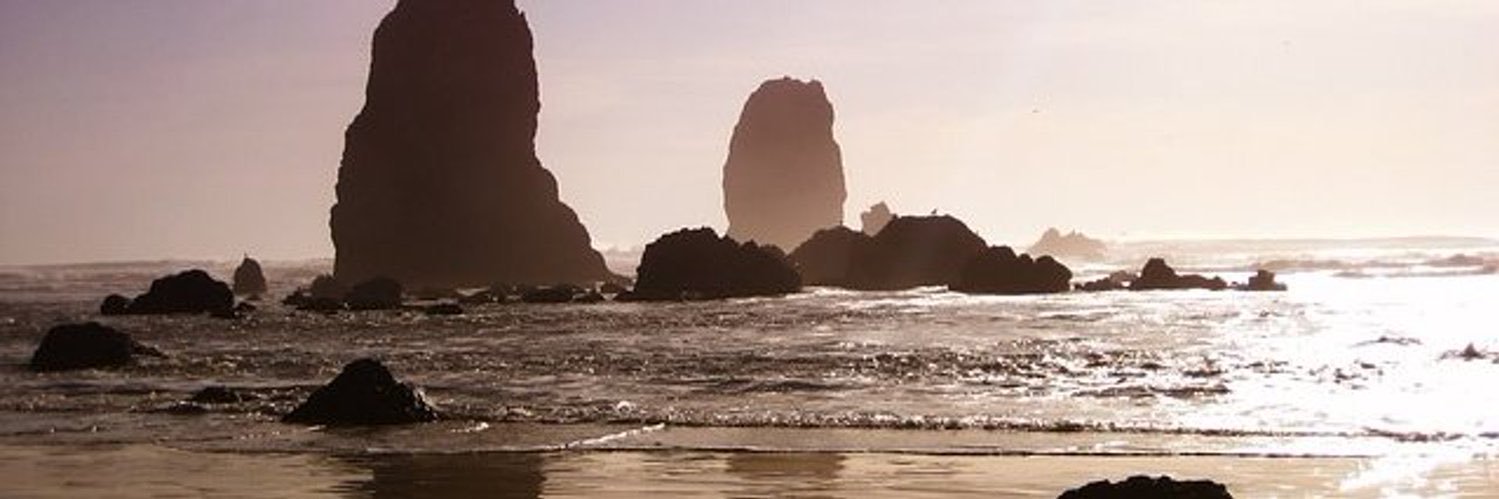 jose_colombo77's profile banner image