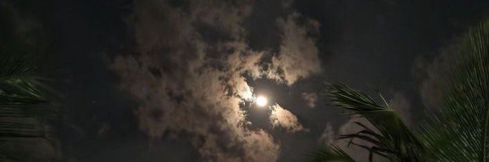 ّ banner