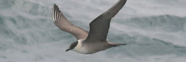 Davedack81 Profile Banner