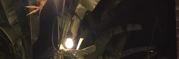 estysrr's profile banner image