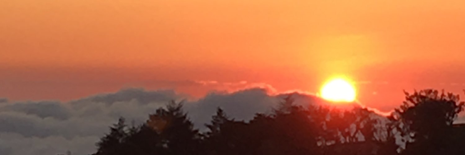oswaldopi's profile banner image