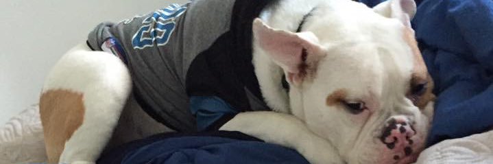 JacupTerry's profile banner image