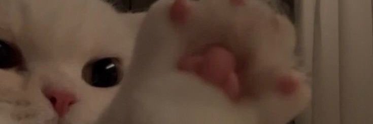 Pinkyyy♡ banner