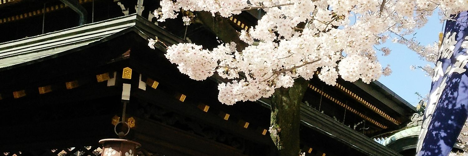 kaori_kun's profile banner image