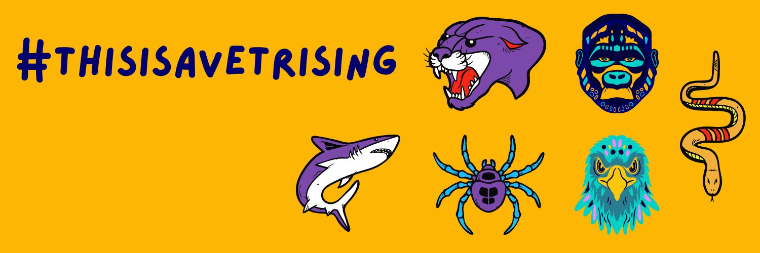 VetRising's profile banner image