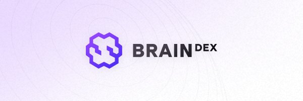 Braindex Aggregator - Make Smarter Swaps banner