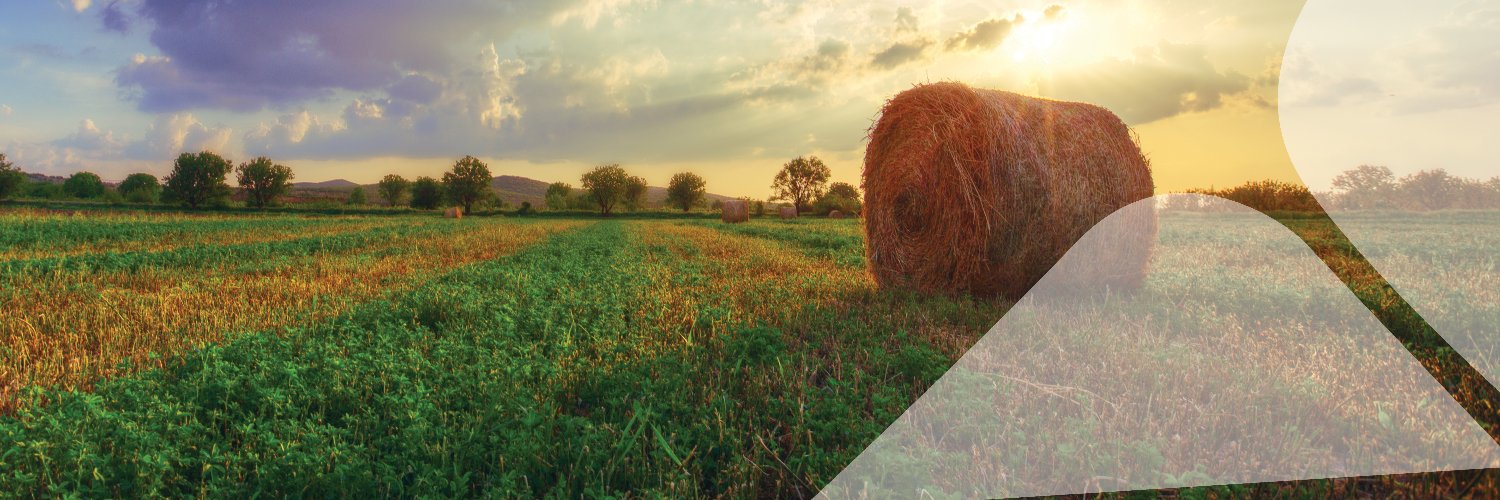 AgFirst Farm Credit Bank banner