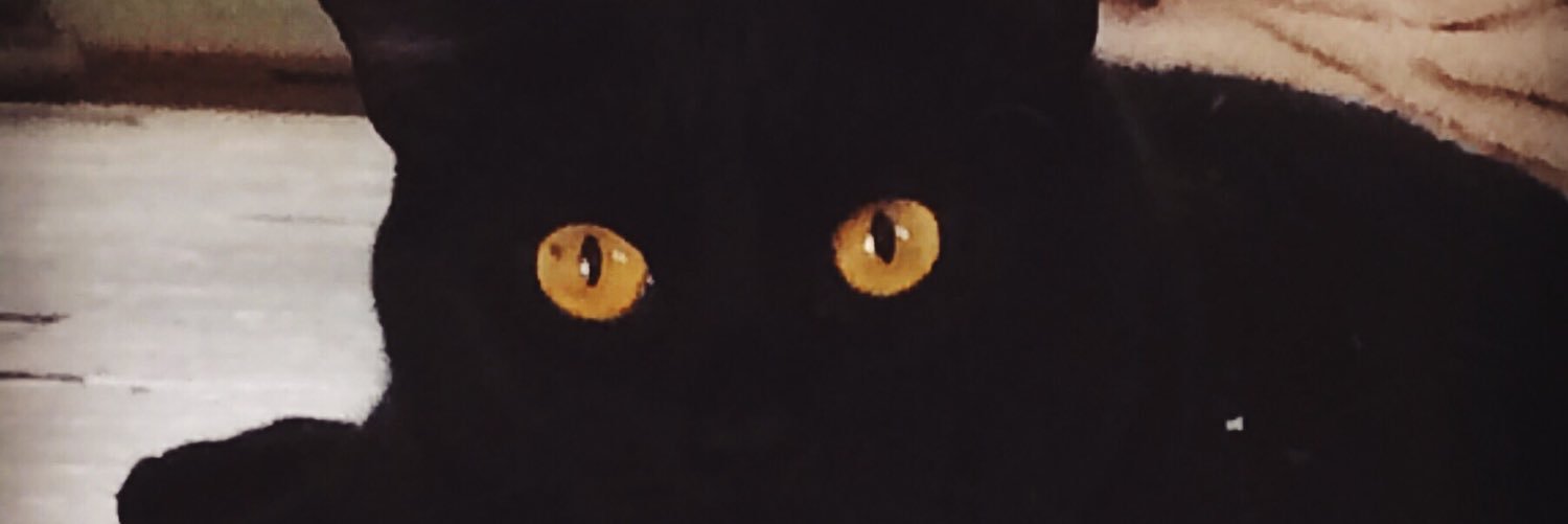 NAVplaywright's profile banner image