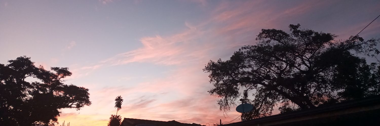angelDPG's profile banner image