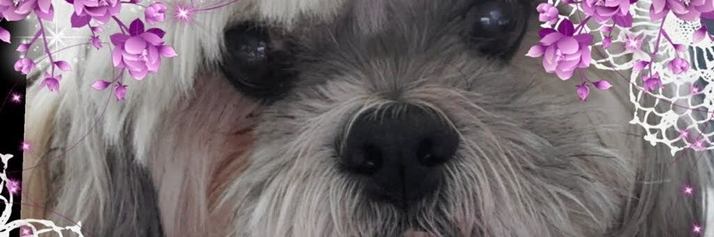 Chloe's mama banner