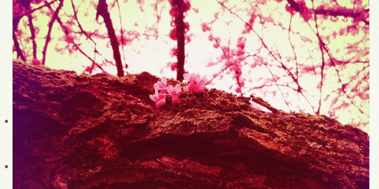 cmulkey78's profile banner image