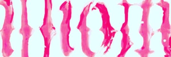 illiotti Profile Banner