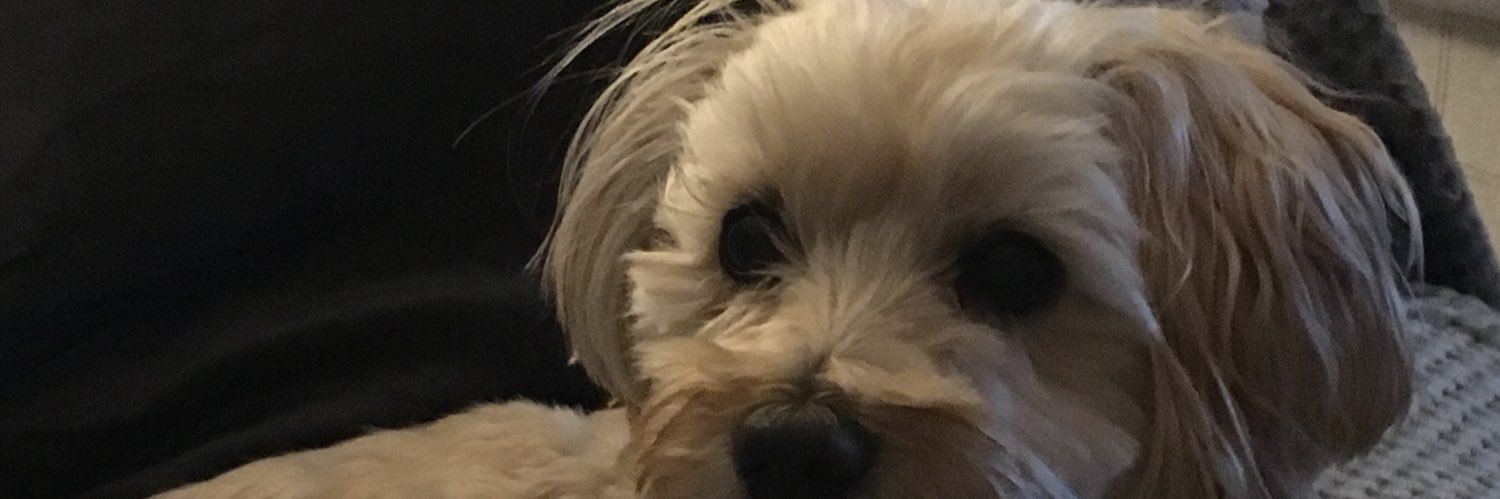 jobrown68's profile banner image