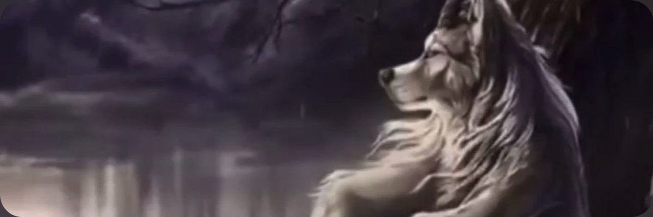 mr_impractical's profile banner image
