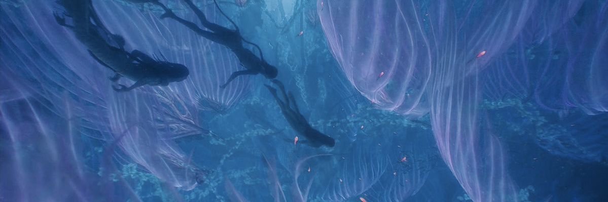 ˚˖𓍢ִ໋❀ isa banner