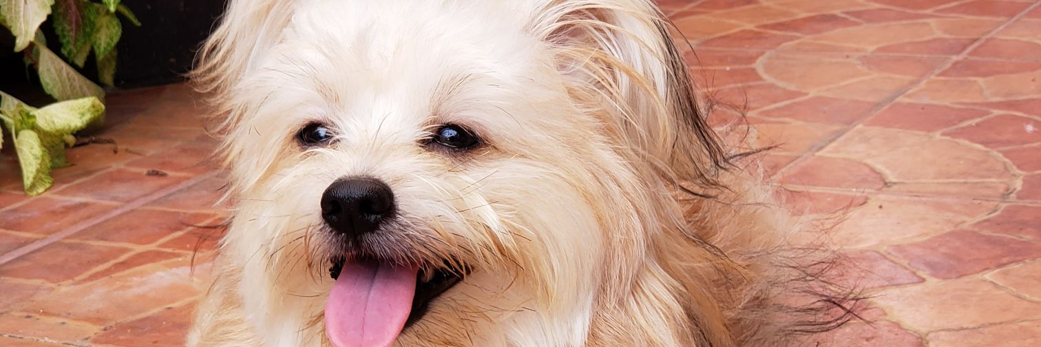 kyleeeashley's profile banner image