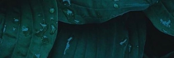 Vinxhijinx Profile Banner