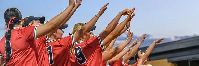 Carli Smith banner