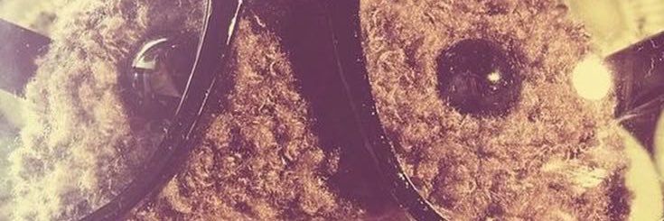 lovftosleep's profile banner image