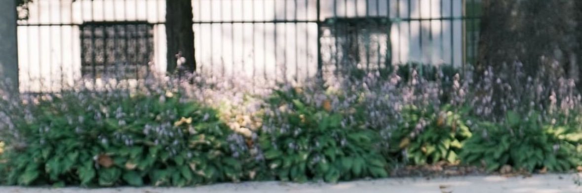 ゆ banner